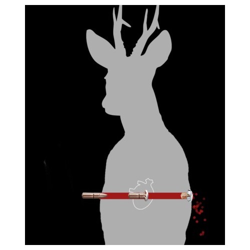 Cartouches Brenneke Cal. .300 Win. Mag. 10,7g/165grs TOG® - Précision et Puissance pour la Chasse au Gros Gibier