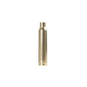 223 Caliber Armscor Brass Cases (200 pcs)