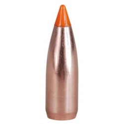 Puntas Cal. 243/6mm-055-Spit  Nosler Ballistic Tip