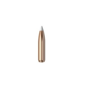 Ballistics Nosler AccuBond 6,5 mm 130 grains  Précision et pénétration supérieures pour la chasse