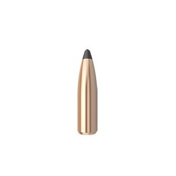 Ballistics Nosler Partition 7mm 150gr  Performance et Précision Inégalées