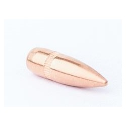 Pointe Cal. 22-55 FMJSBT Blindée 250 unités CamPro