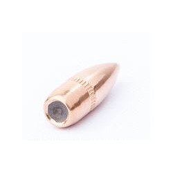 Pointe Cal. 22-55 FMJSBT Blindée 250 unités CamPro