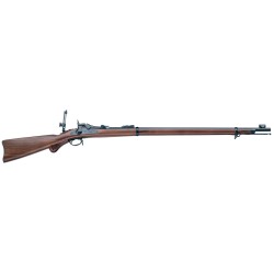 Rifle Springfield Trapdoor Long Range .45-70