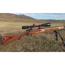 Rifle Mod. Vanguard Cal. 308 Win  Laminate Sporter Weatherby + Vispr 4-12x40mm Brushline