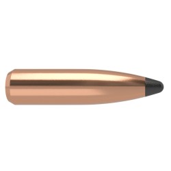 Puntas Cal. 243/6mm-095gr Spitzer  Nosler Partitio