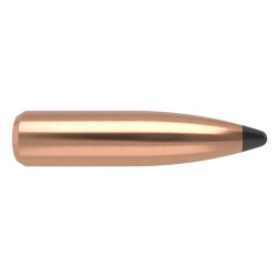 Puntas Cal. 7mm-160-Spitzer  Nosler Partition 50un
