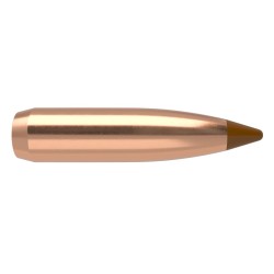 Puntas Cal. 6.5-120-Spitzer Nosler Ballistic Tip 5