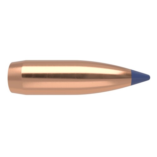 Balles Nosler Ballistic Tip Chasse 8mm 180gr  Précision et Performance Exceptionnelles