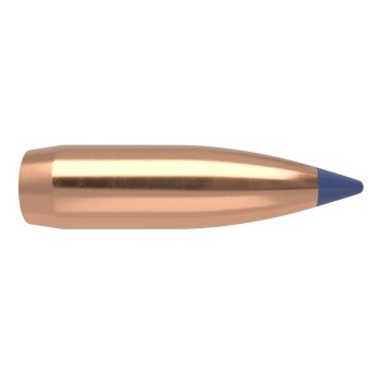 Balles Nosler Ballistic Tip Chasse 8mm 180gr  Précision et Performance Exceptionnelles