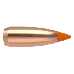 Puntas Cal. 22-40-Nosler Ballistic Tip Varmint 250
