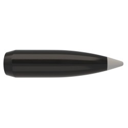 Puntas Cal. 30-168-Spitzer Nosler Ballistic Silver