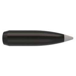 Puntas Cal. 30-180  Spitzer Nosler Ballistic Silve