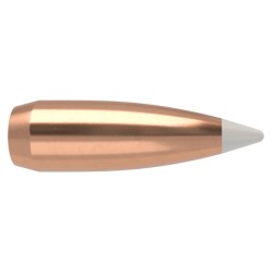 Puntas Cal. 30-125 Nosler  Accubond 50un.