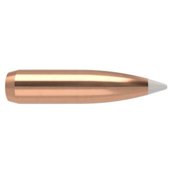 Nosler AccuBond .25 Cal 110gr Bullets  Superior Precision and Penetration for Hunting and Reloading