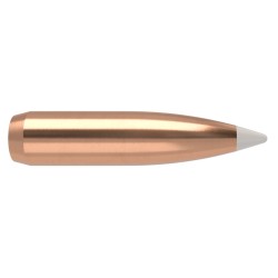 Puntas Cal. 25-110-Spitzer BT Nosler Accubond 50un