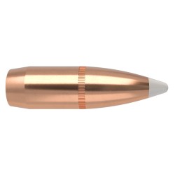 Puntas Cal. 375-260. Spitzer Nosler  Accubond 50un