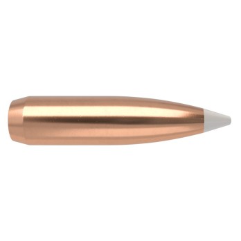 Nosler AccuBond .30 Cal 180gr Bullets  Superior Precision and Penetration for Hunting
