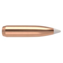 Puntas Cal. 7mm-160 Spitzer Nosler Accubond 50un.