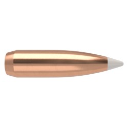 Puntas Cal. 30-165 Spitzer Nosler  Accubond 50Un.