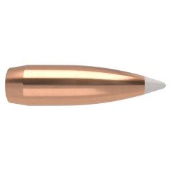 Puntas Cal. 338-200-Spitzer Nosler Accubond 50un.