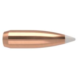 Puntas Cal. 30-150. Spitzer Nosler  Accubond 50un.