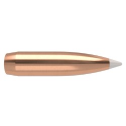 Puntas Cal. 338-250 Spitzer Nosler Accubond 50un.