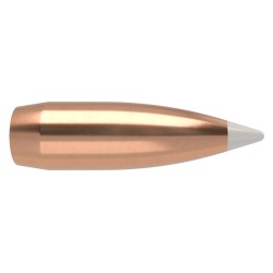 Puntas Cal. 338-180 Spitzer Nosler Accubond 50un.