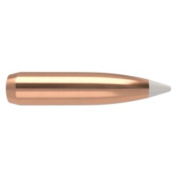 Puntas Cal. 270-150 Nosler Accubond 50un.