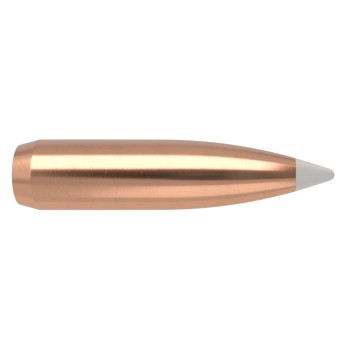 Nosler AccuBond 6mm 90gr Bullets  Optimal Precision and Performance for Big Game Hunting
