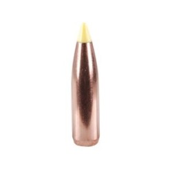 Puntas Cal. 270-170-Spitzer Nosler Ballistic Tip 50 un.