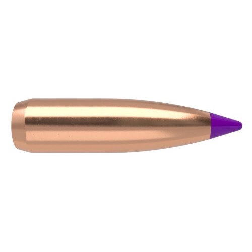 Nosler Ballistic Tip Varmint 6mm 80gr Bullets  Superior Precision and Performance for Pest Hunting