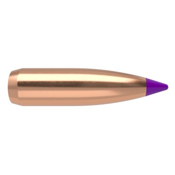Nosler Ballistic Tip Varmint 6mm 80gr Bullets  Superior Precision and Performance for Pest Hunting