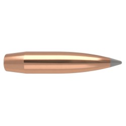 Puntas Cal. 270-165- Nosler Accubond Longe Range 100 un