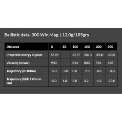 Cart. Brenneke Cal. 300 Win Mag-185gr Basic 20un