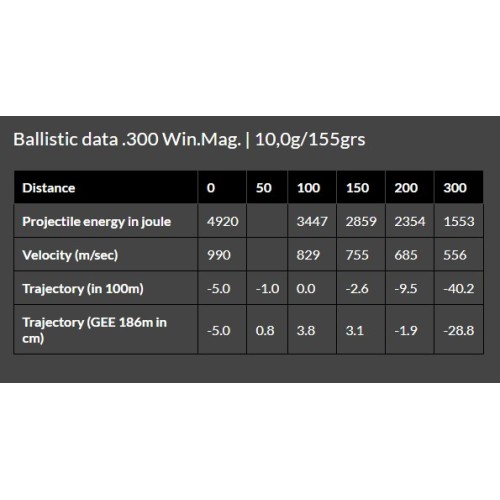 Brenneke .300 Win. Mag. 10.0g/155gr TAG® Lead-Free High-Precision Ammunition for Big Game Hunting