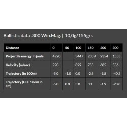 Cart. Brenneke Cal. 300WM-155gr TAG 20un