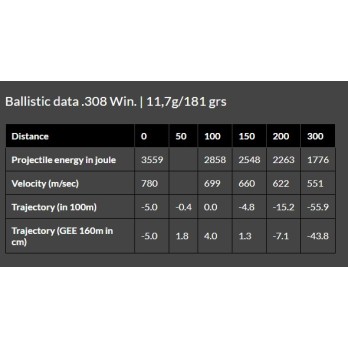 Cartouche Brenneke .308 Win 181gr TOG - Précision et Puissance