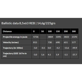 Brenneke TOG® 8.5x63 Ammunition - Precision and Power for Big Game Hunting