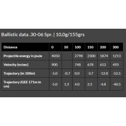 Cart. Brenneke Cal. 30-06-155gr TAG 20un