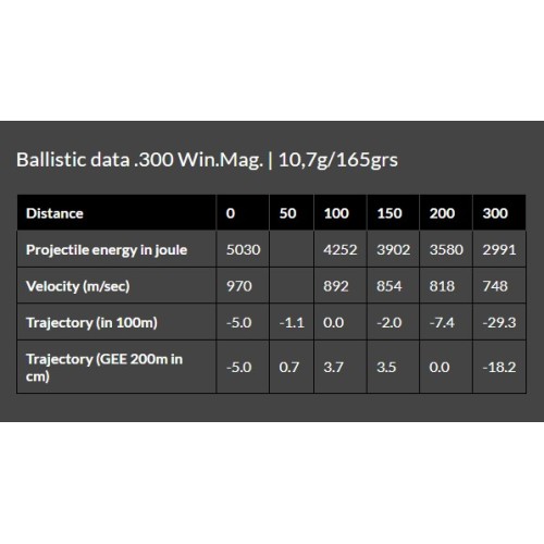 Cartouches Brenneke Cal. .300 Win. Mag. 10,7g/165grs TOG® - Précision et Puissance pour la Chasse au Gros Gibier