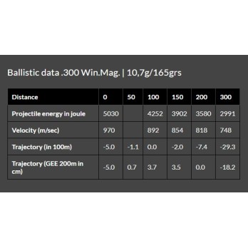 Cartouches Brenneke Cal. .300 Win. Mag. 10,7g/165grs TOG® - Précision et Puissance pour la Chasse au Gros Gibier