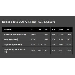 Cart. Brenneke Cal. 300 - 165gr TOG Caja 20 un.