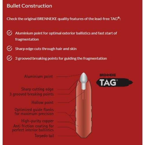 Brenneke 9.3x62 Ammunition - TAG 225 grs - Maximum Power for Big Game Hunting