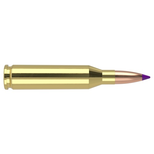 Munitions Nosler .243 Win 90gr Ballistic Tip | Boîte de 20