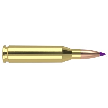 Nosler .243 Winchester 90 grains Ballistic Tip  Rendimiento terminal superior

