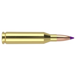 Nosler .243 Win 90gr Ballistic Tip Ammunition | 20 Rounds