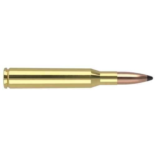 Nosler .270 Win 130gr Whitetail Country Solid Base Ammo | 20 Rounds