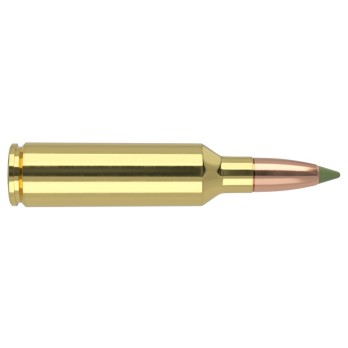 Nosler .270 WSM 130 gr Expansion Tip  Caza sin plomo con potencia y precisión
