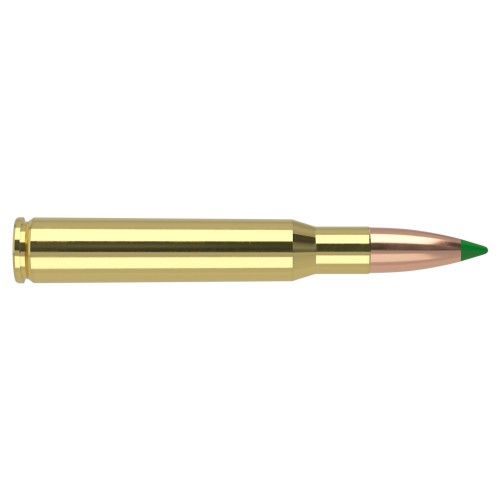 Nosler .30-06 Springfield 165 gr Ballistic Tip  Precisión y expansión en caza de ciervo